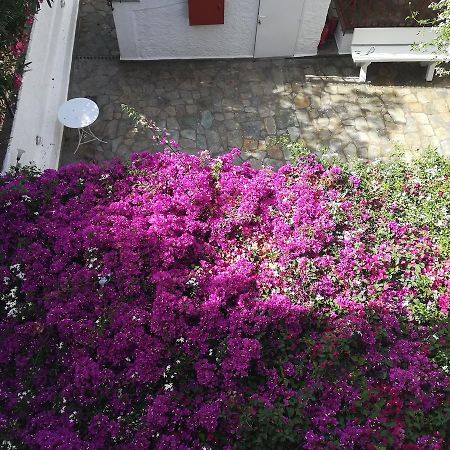 Villa Mikra Asia Poros Town Exterior photo