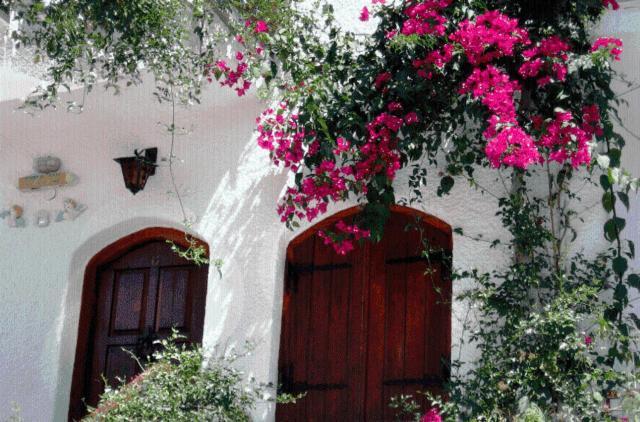Villa Mikra Asia Poros Town Exterior photo