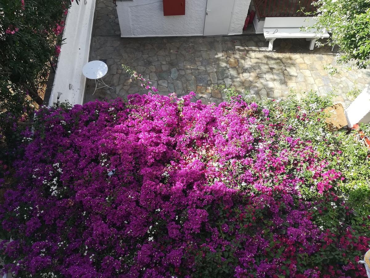 Villa Mikra Asia Poros Town Exterior photo