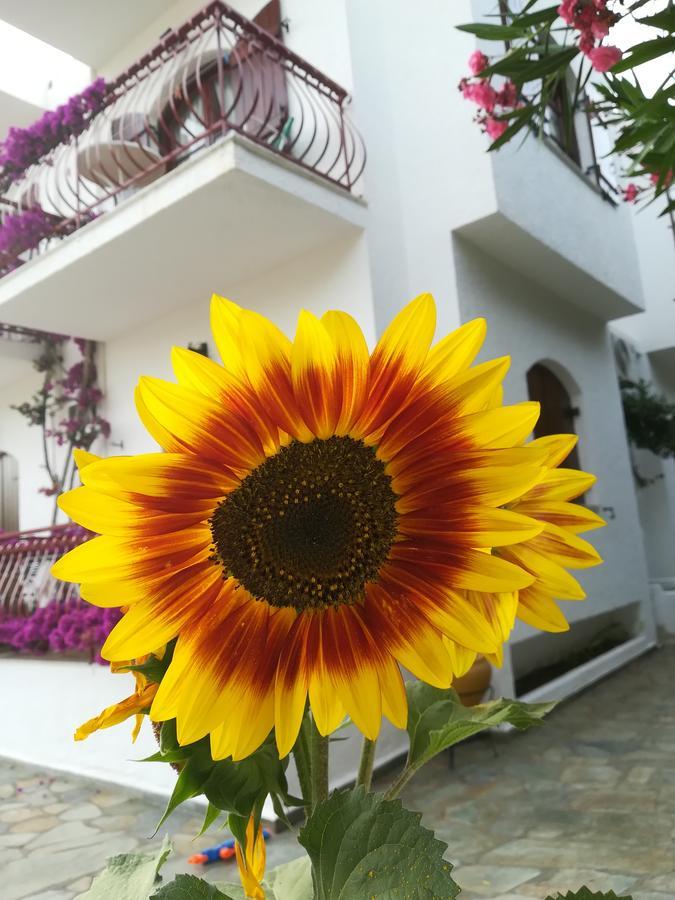 Villa Mikra Asia Poros Town Exterior photo